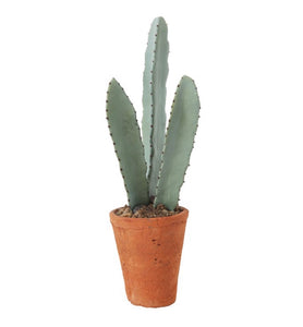 Faux Cactus in Terra Cotta Pot